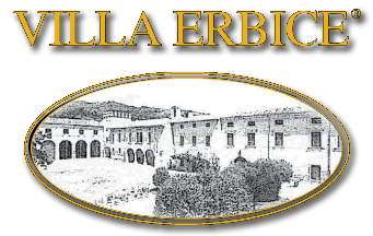 Logo Villa Erbice